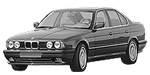 BMW E34 DF116 Fault Code